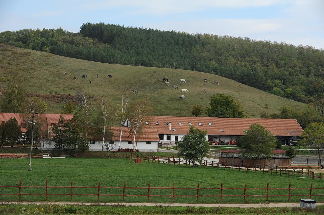 Mátyus Udvarház Eger Exteriér fotografie